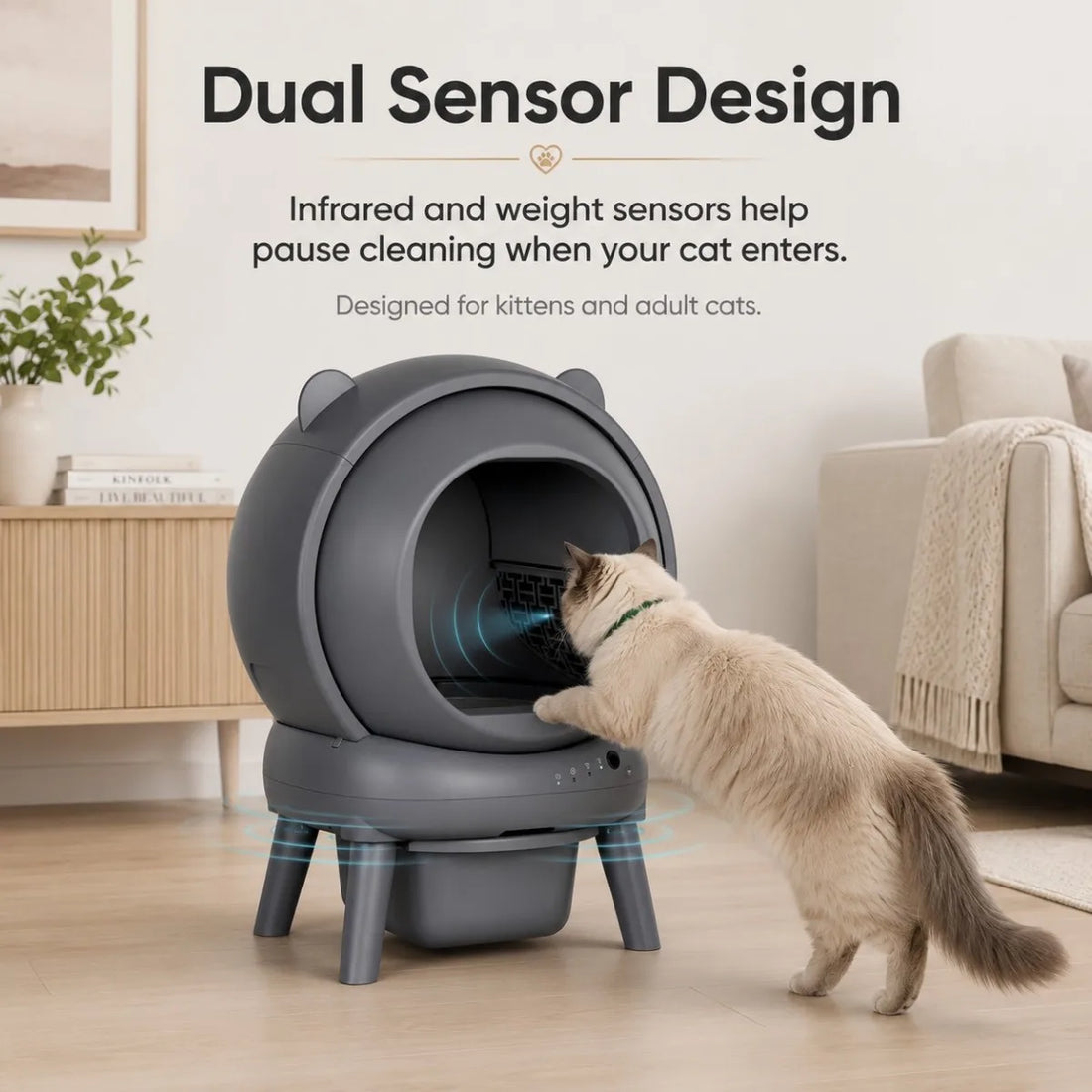 Essential Pet Supplies Every Dog and Cat Owner Should Have