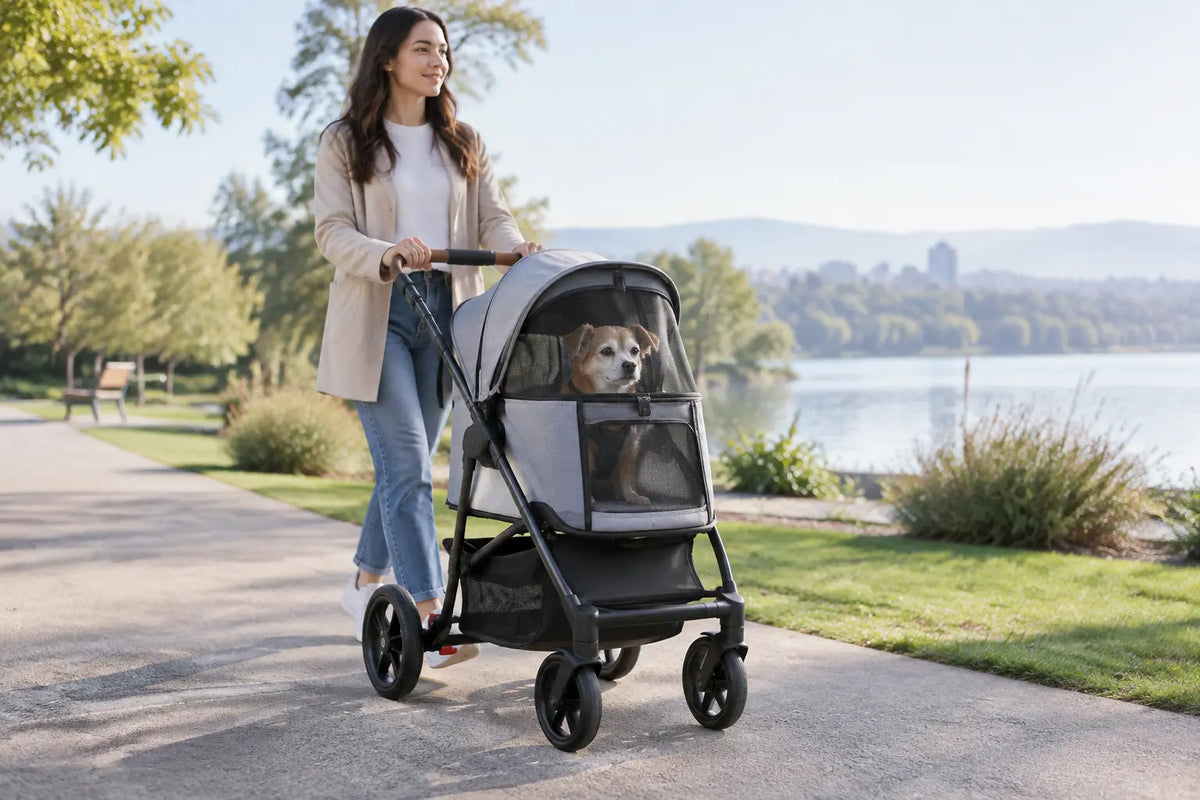 Pet Stroller Buying Guide