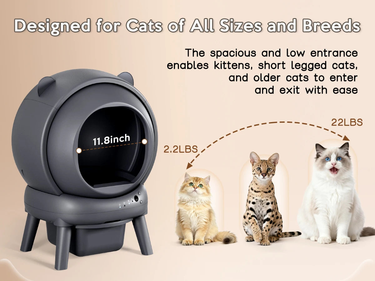 Smart Self Cleaning Litter Box With Dual Safety Sensors