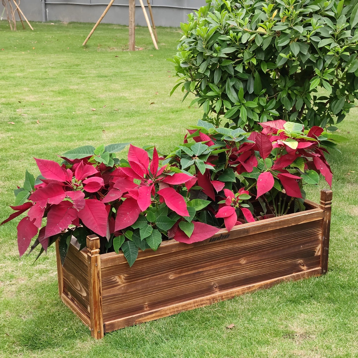 Wooden Raised Garden Bed Window Planter By P-WD356W