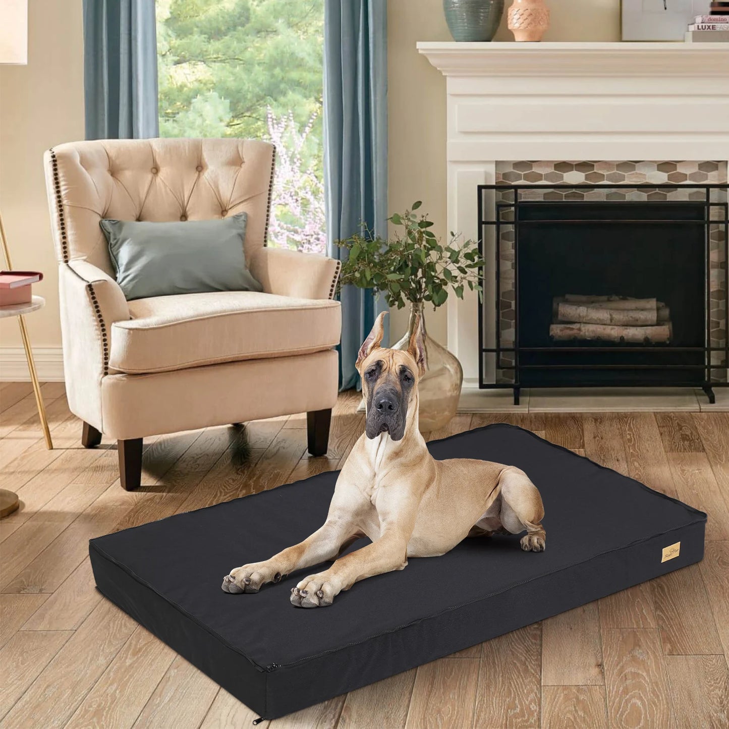 BINGOPAW Washable Orthopedic Dog Bed With Foam Mattress Cover