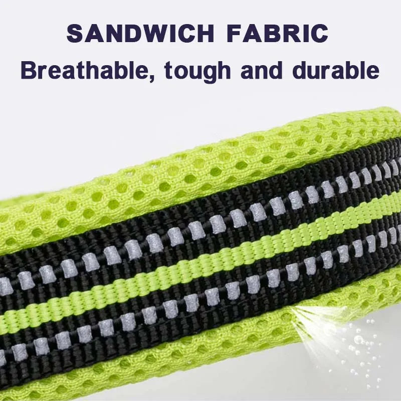 Reflective Padded Nylon Dog Collar