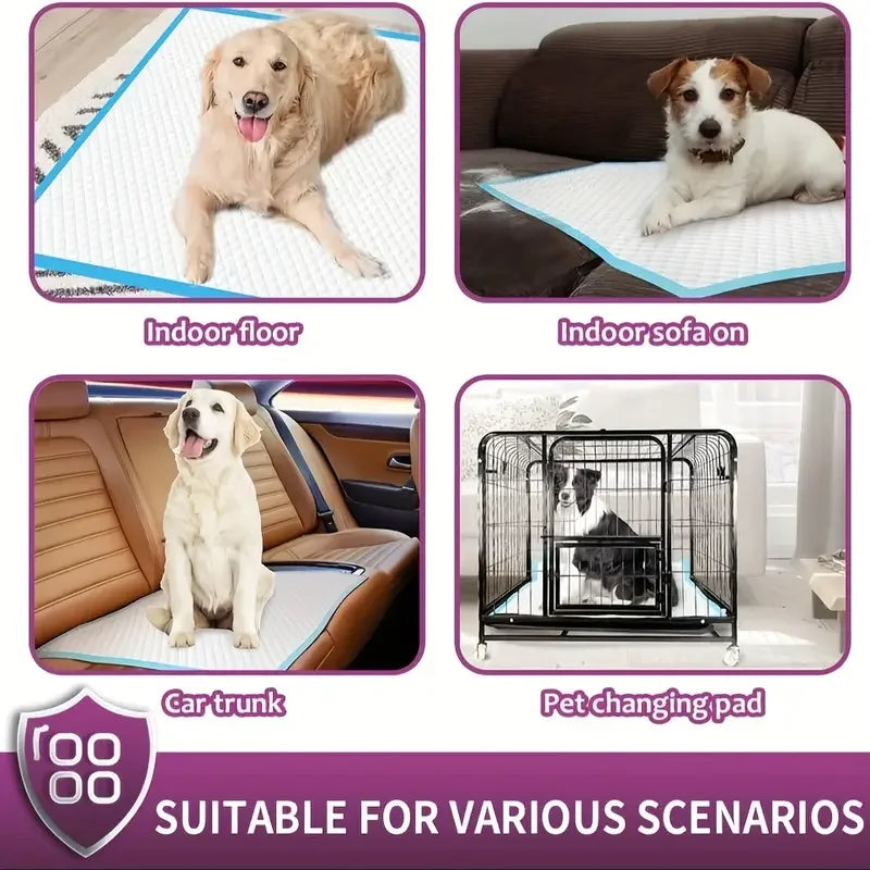 Premium Disposable Dog Training Pads With Super Absorbency And Leakproof