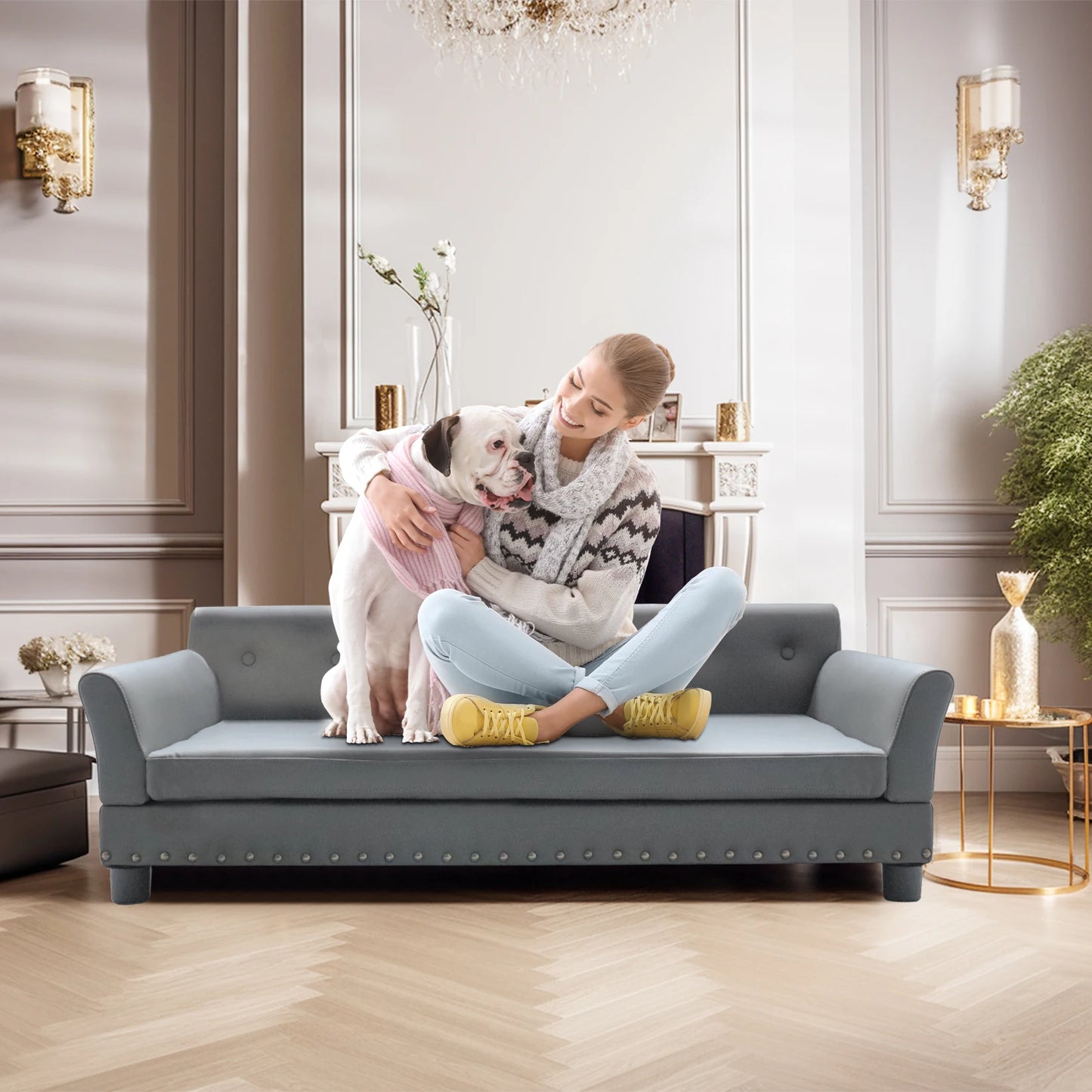 BINGOPAW Elevated Dog Bed Sofa For Dogs Durable Modern Couch