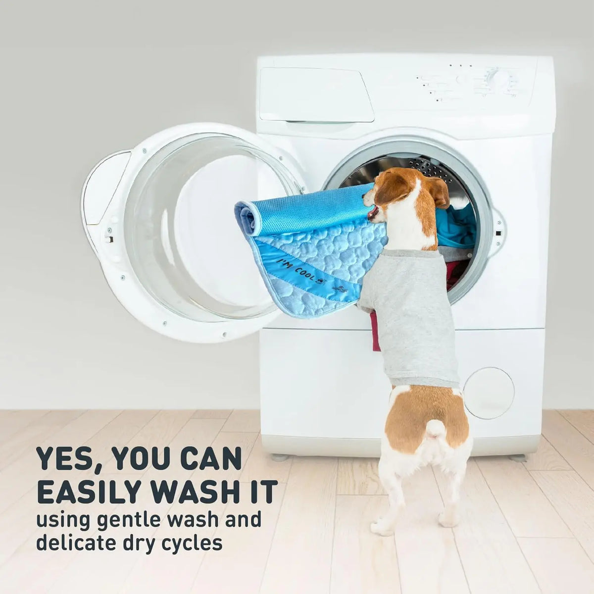 Portable Self-Cooling Dog Mat