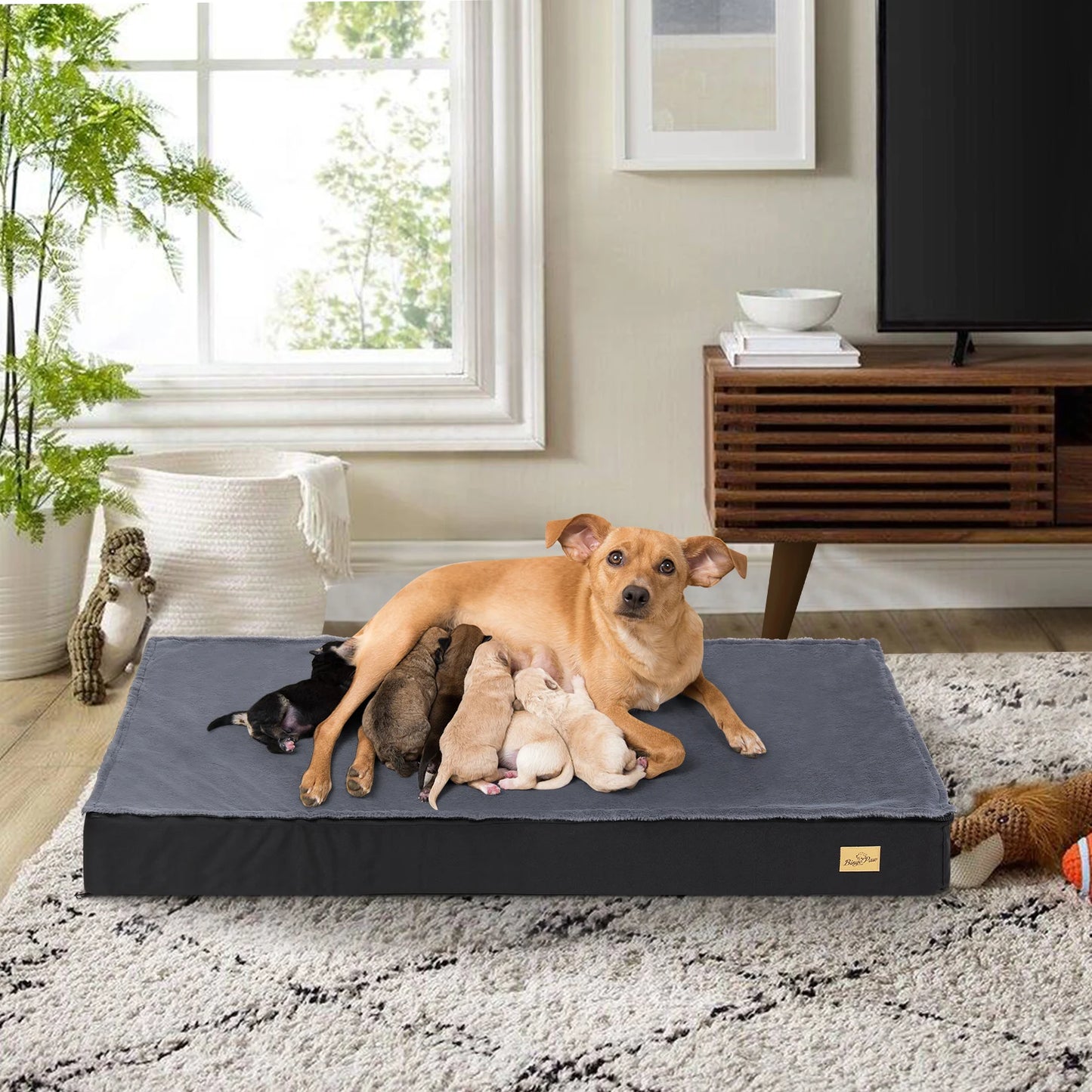 BINGOPAW Washable Orthopedic Dog Bed With Foam Mattress Cover