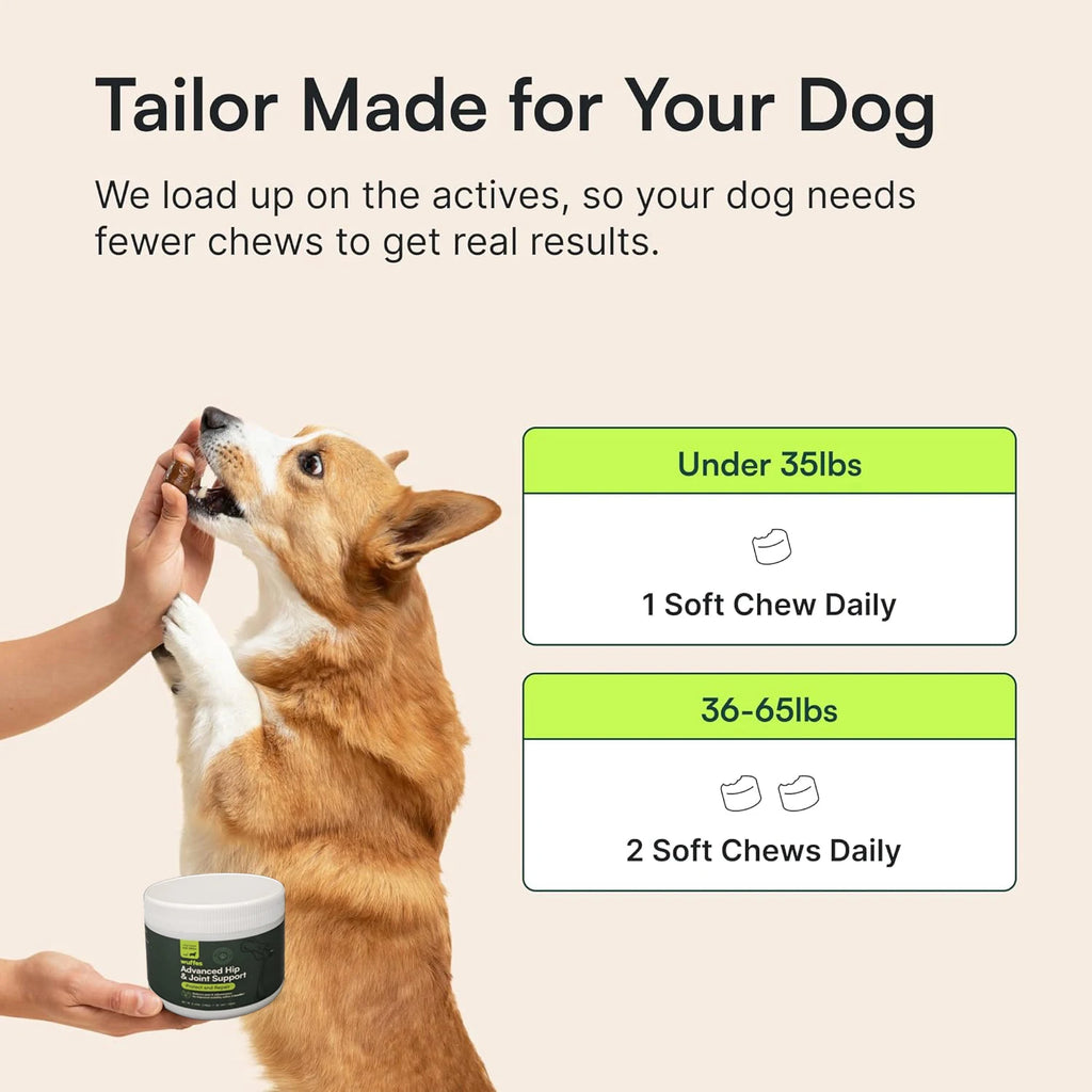 Dog Hip & Joint Chews with Glucosamine, MSM & Omega-3 Pet and Home Outlet