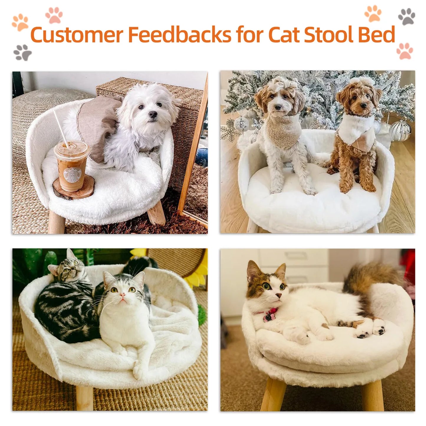 Bingopaw Raised Pet Sofa Bed With Removable Waterproof Cushion