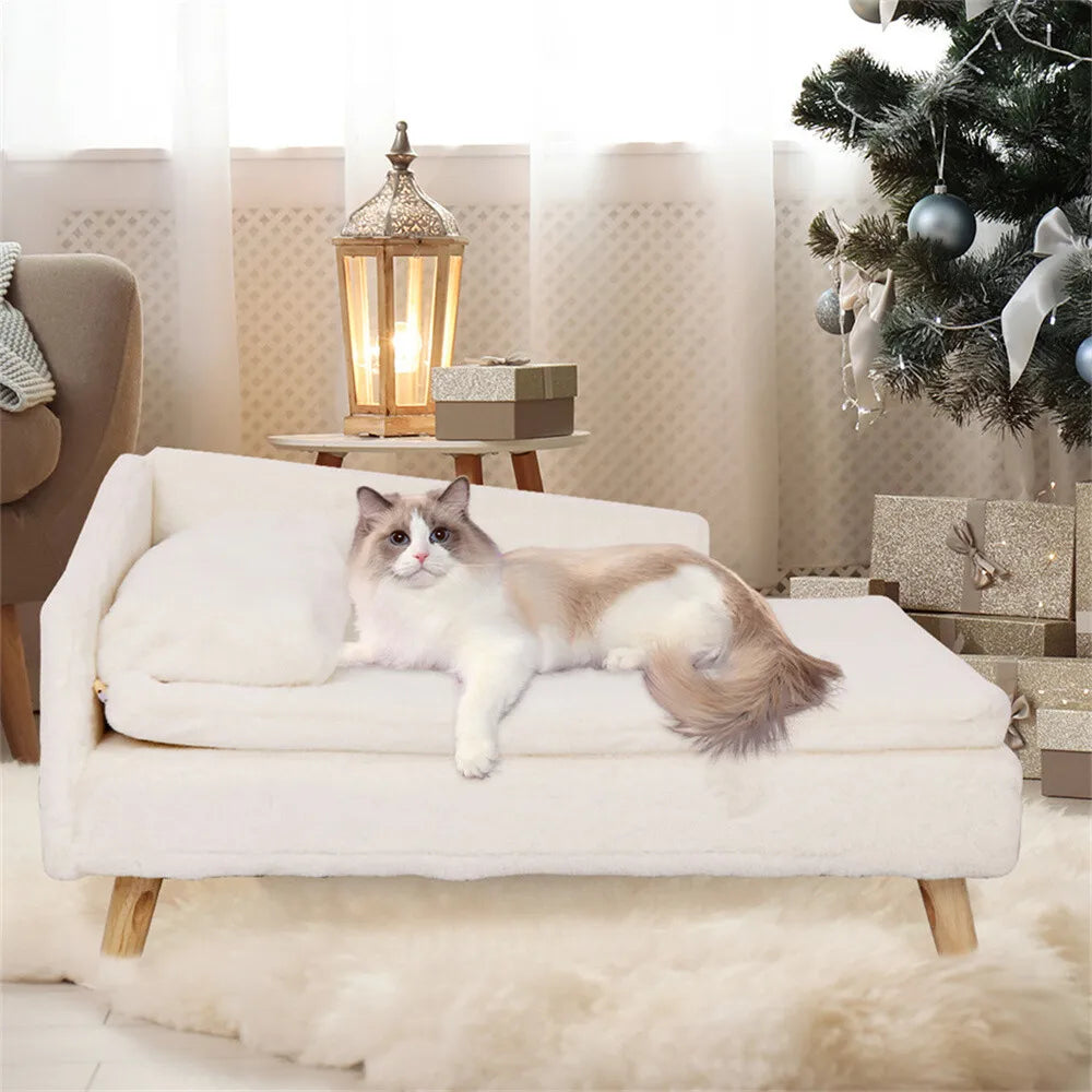 BORWART Luxury Elevated Dog Sofa Bed With Backrest Plush Cushion