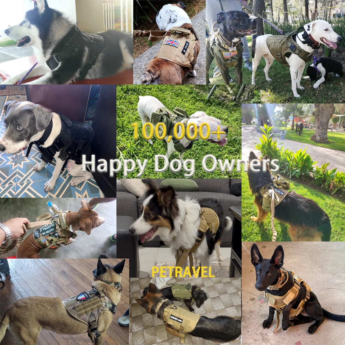 Adjustable Tactical Dog Harness 