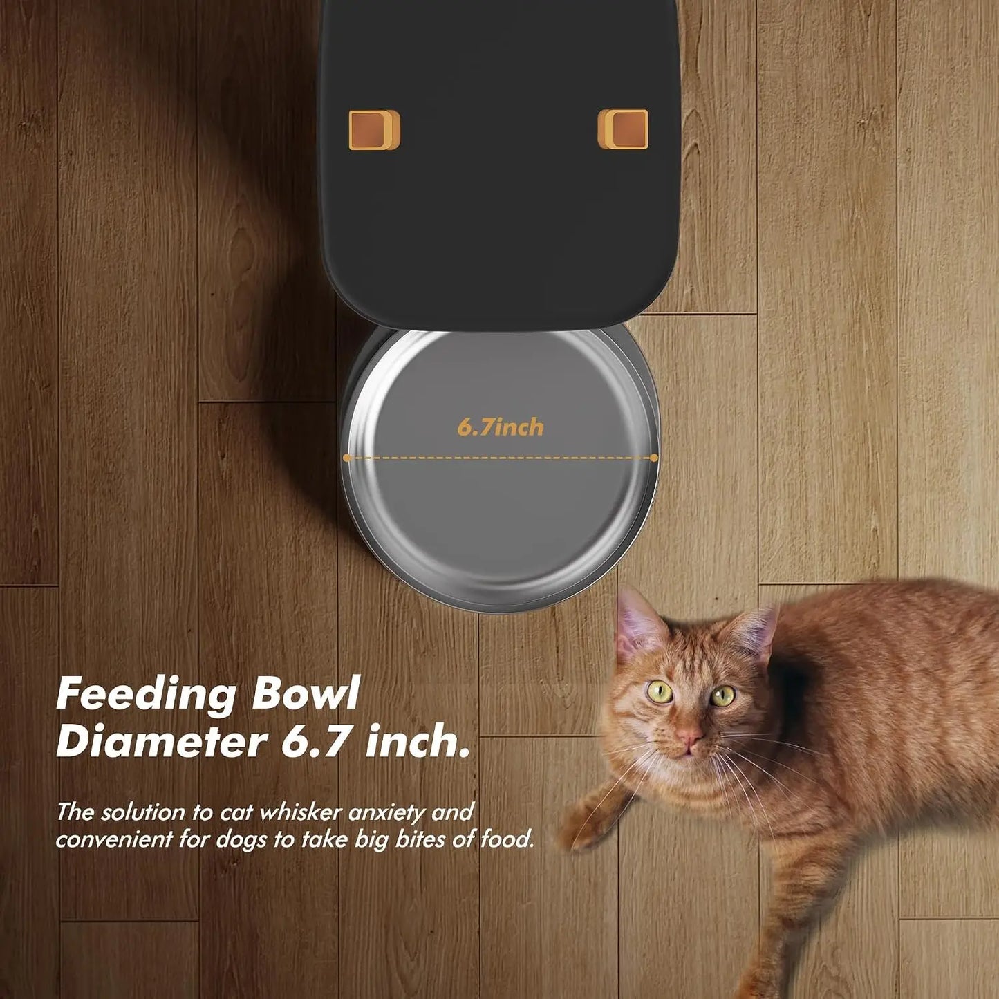 Nityers Automatic Pet Feeder With Voice Recorder And Key Control