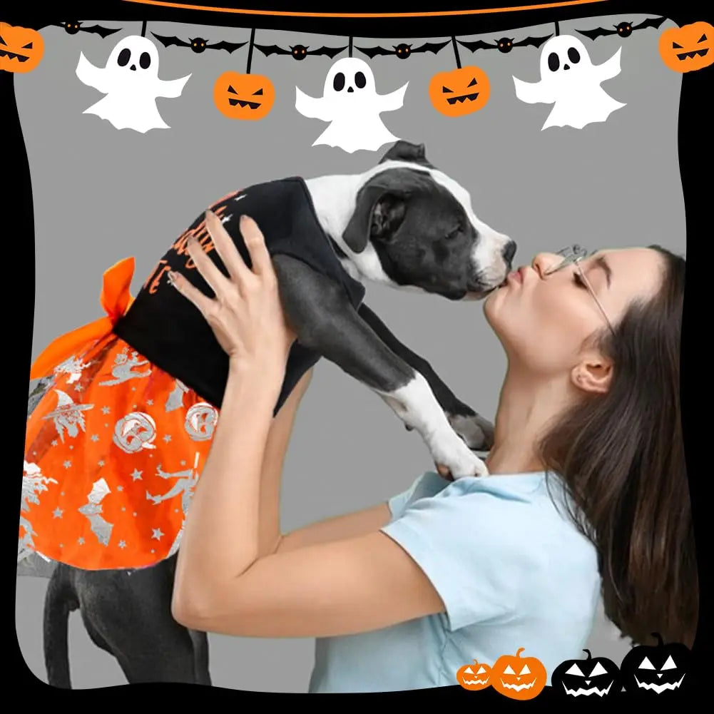 Halloween Dog Dress