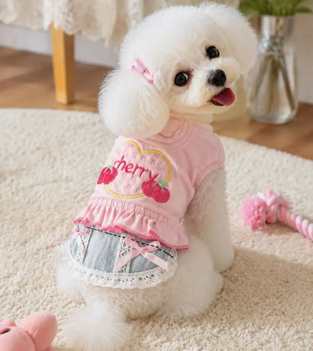 Small Dog Denim Skirt Vest Outfit Spring Pet Clothes Walking Travel Outdoor Fashion Apparel Pet and Home Outlet