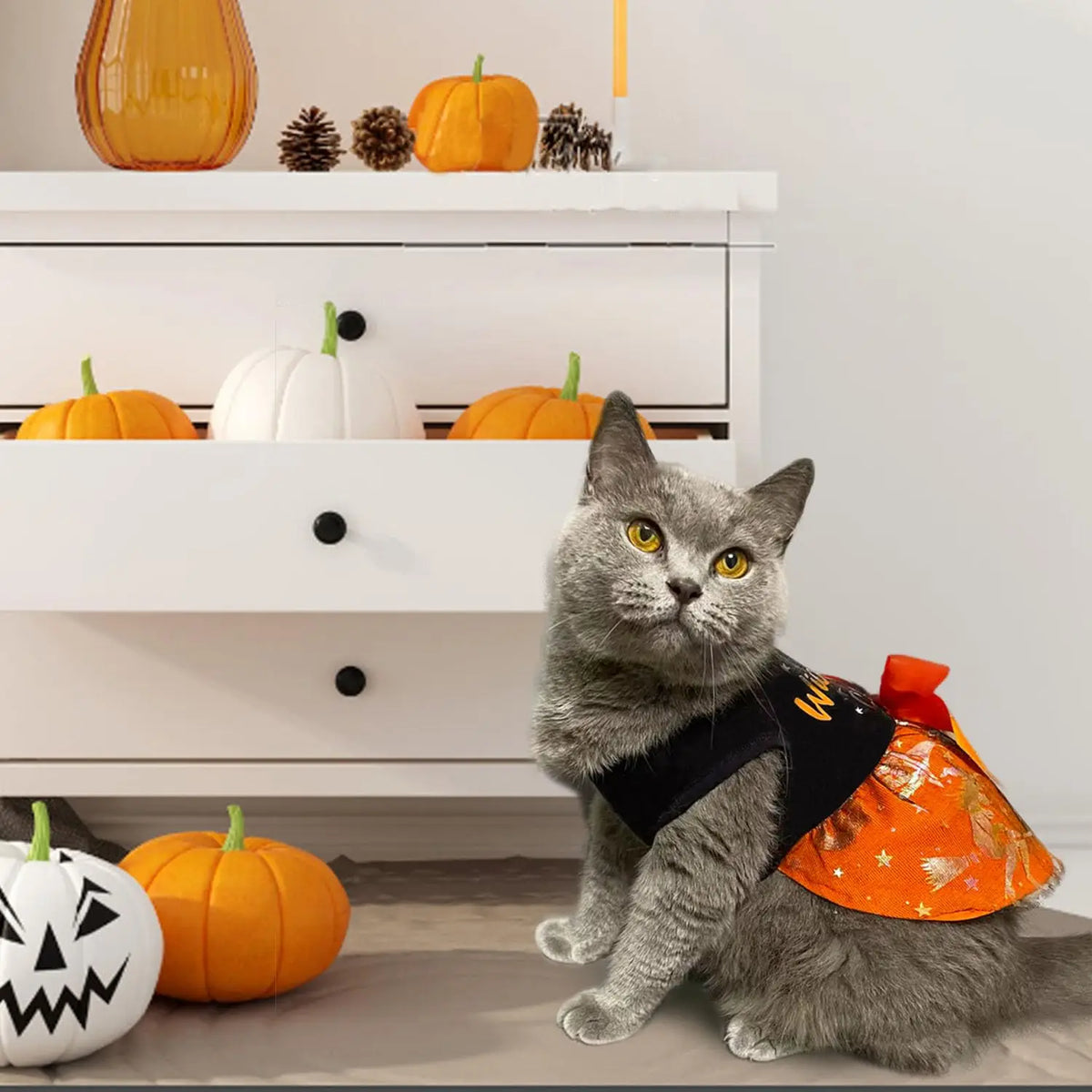 Halloween Dog Dress