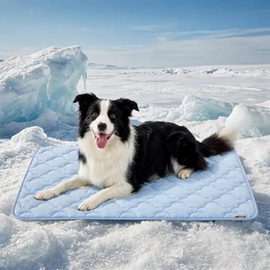 Cooling Mat for Dogs