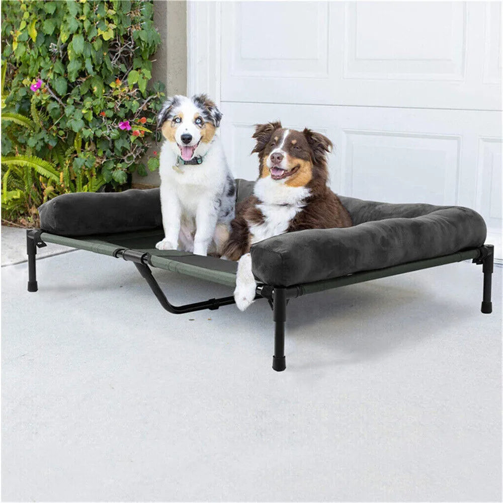 Elevated Cooling Dog Bed