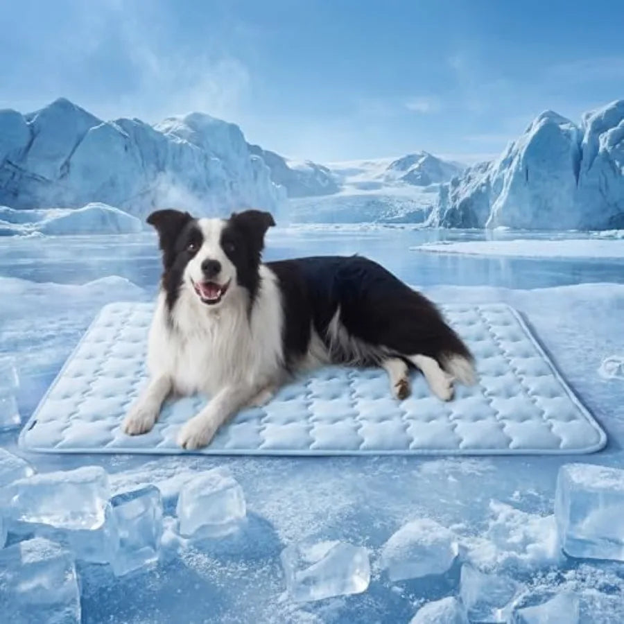 Cooling Dog Mat