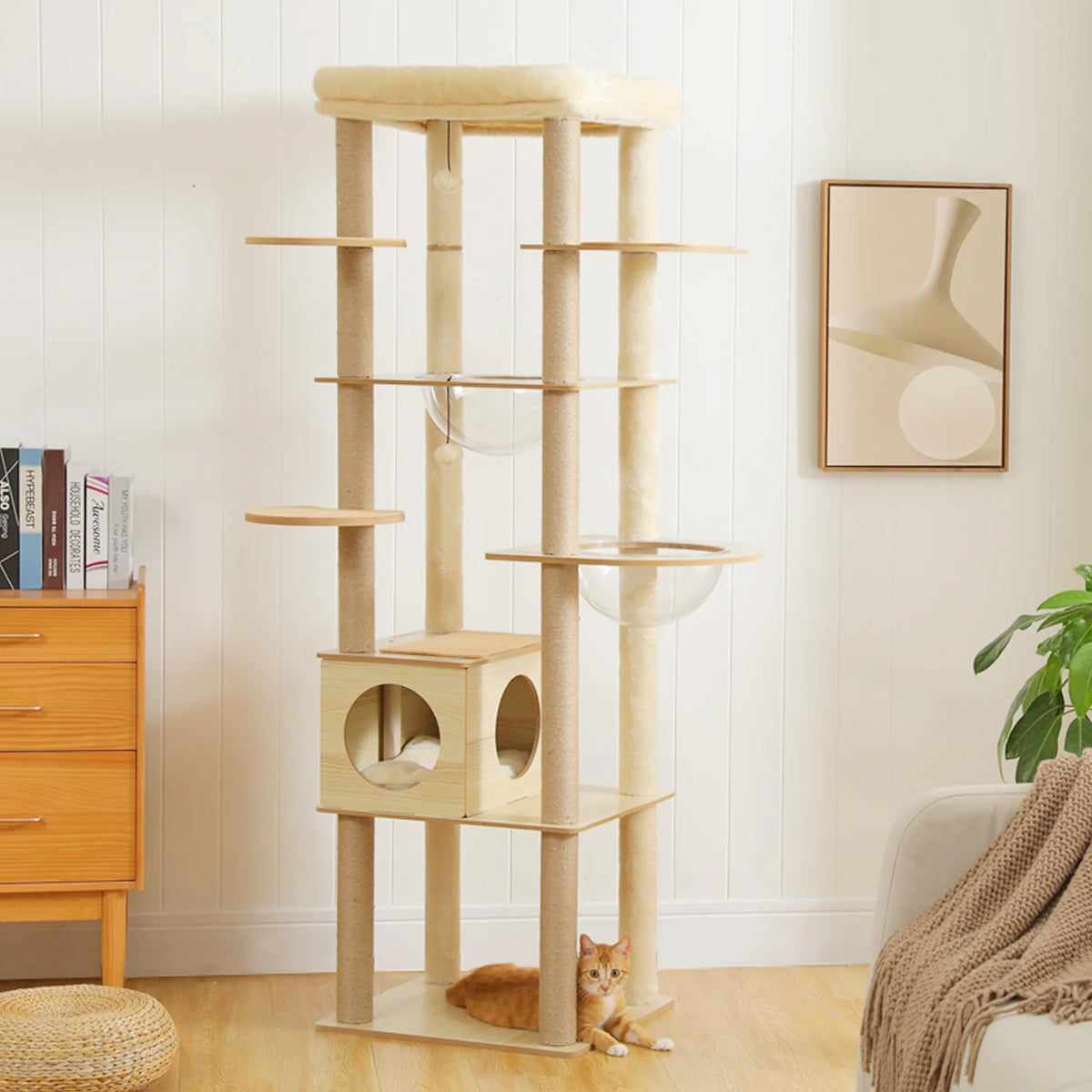 Pawz Roofer Multi Level Cat Tree With Scratching Posts Hammock