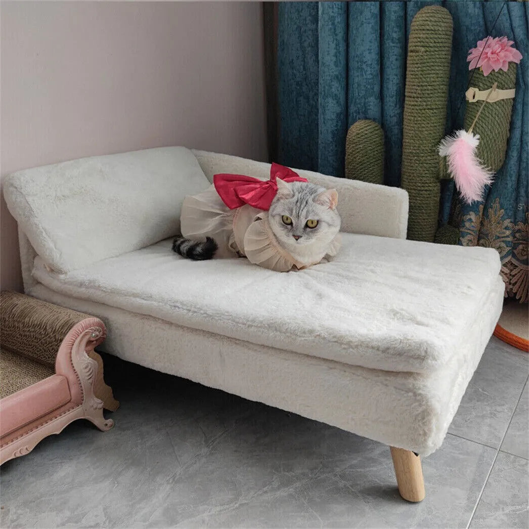 BORWART Luxury Elevated Dog Sofa Bed With Backrest Plush Cushion
