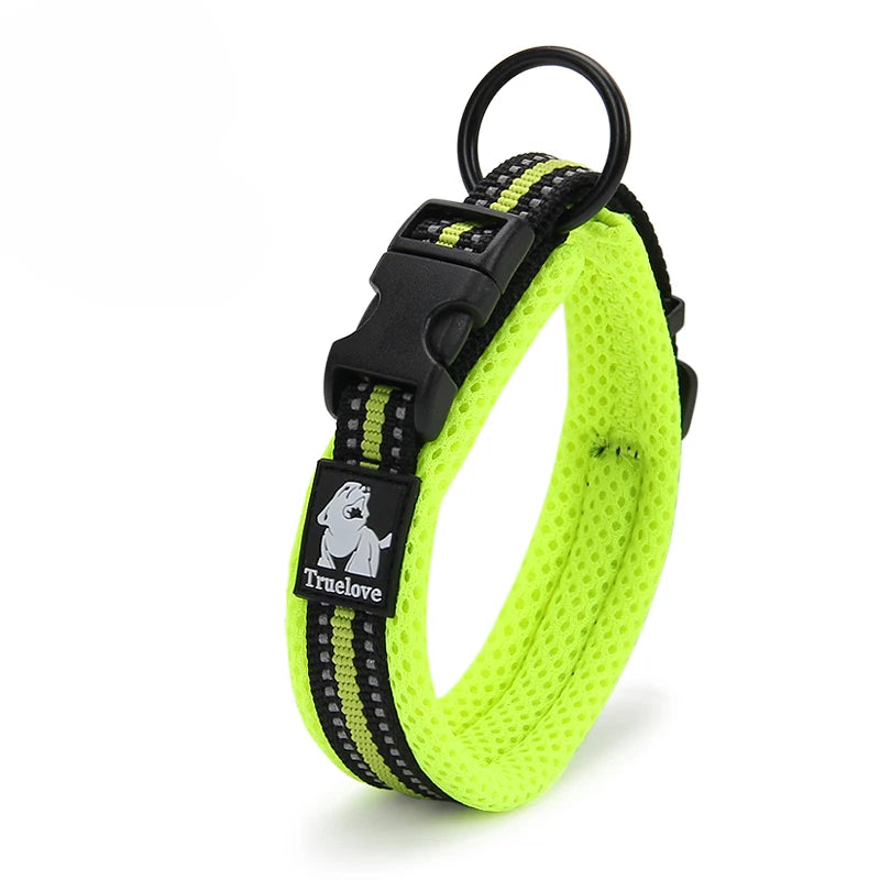 Reflective Padded Nylon Dog Collar