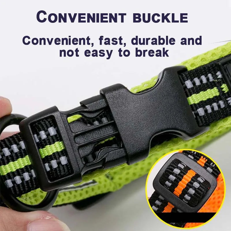 Reflective Padded Nylon Dog Collar