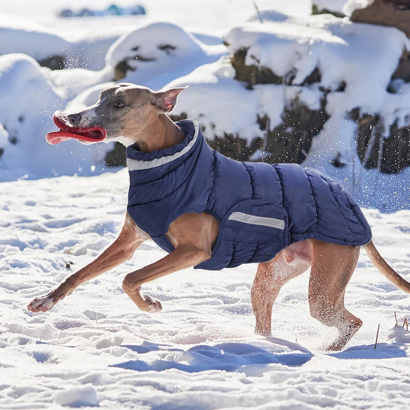 DogLemi Fleece Winter Dog Coat Waterproof Reflective Jacket
