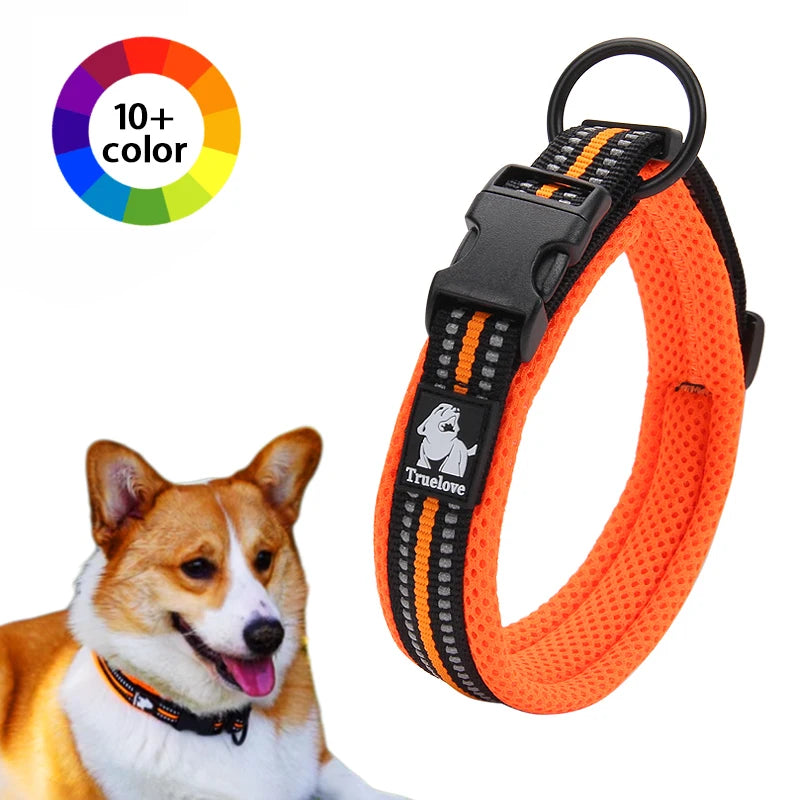 Reflective Padded Nylon Dog Collar