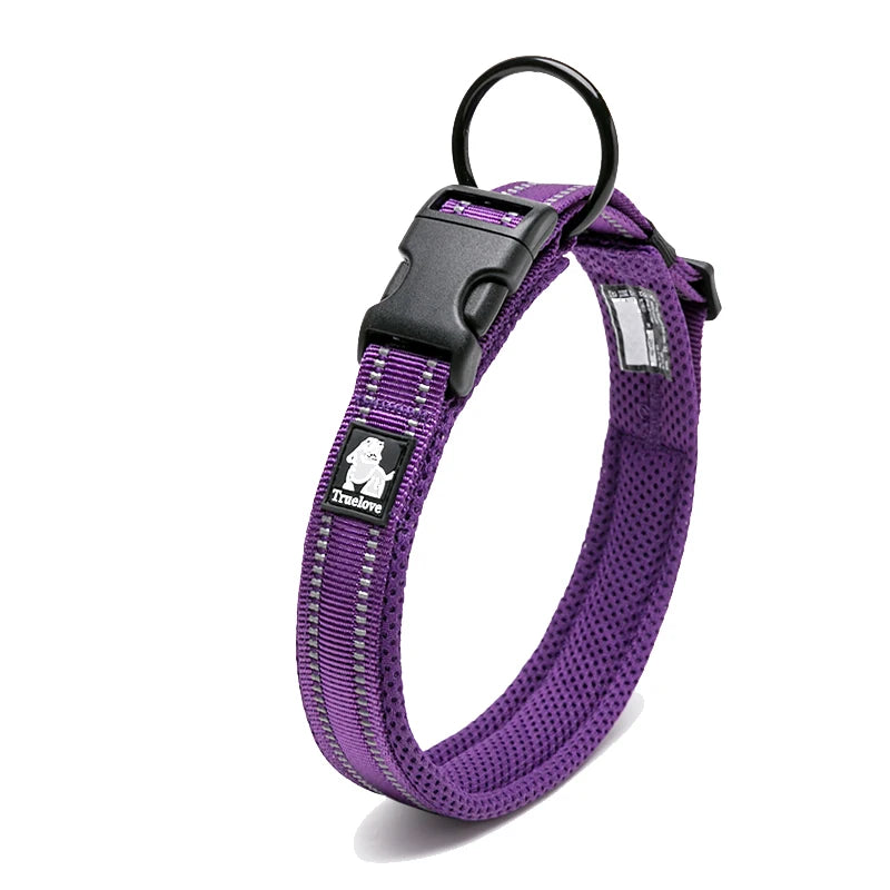 Reflective Padded Nylon Dog Collar