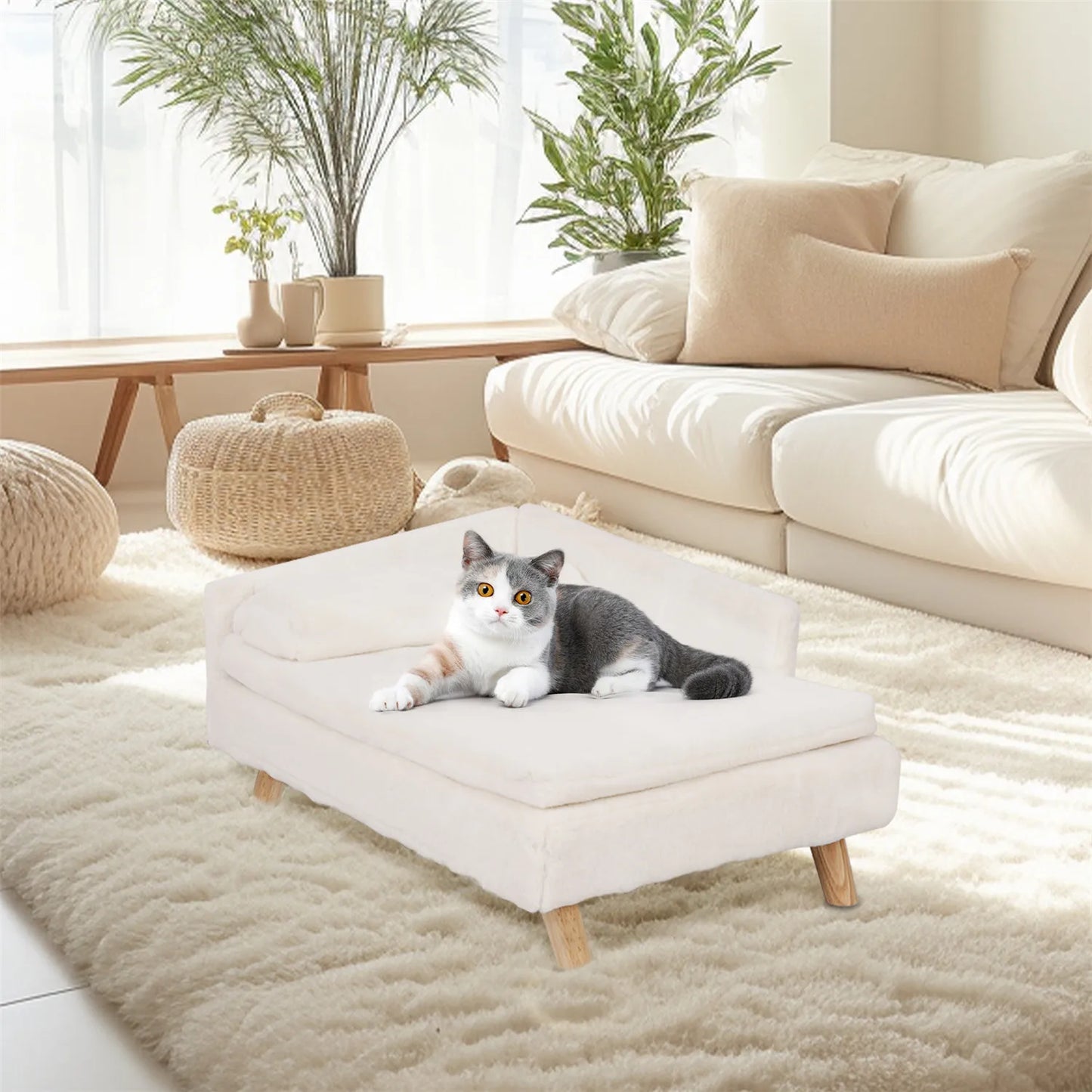 BINGOPAW Waterproof Elevated Pet Sofa Couch And Lounger