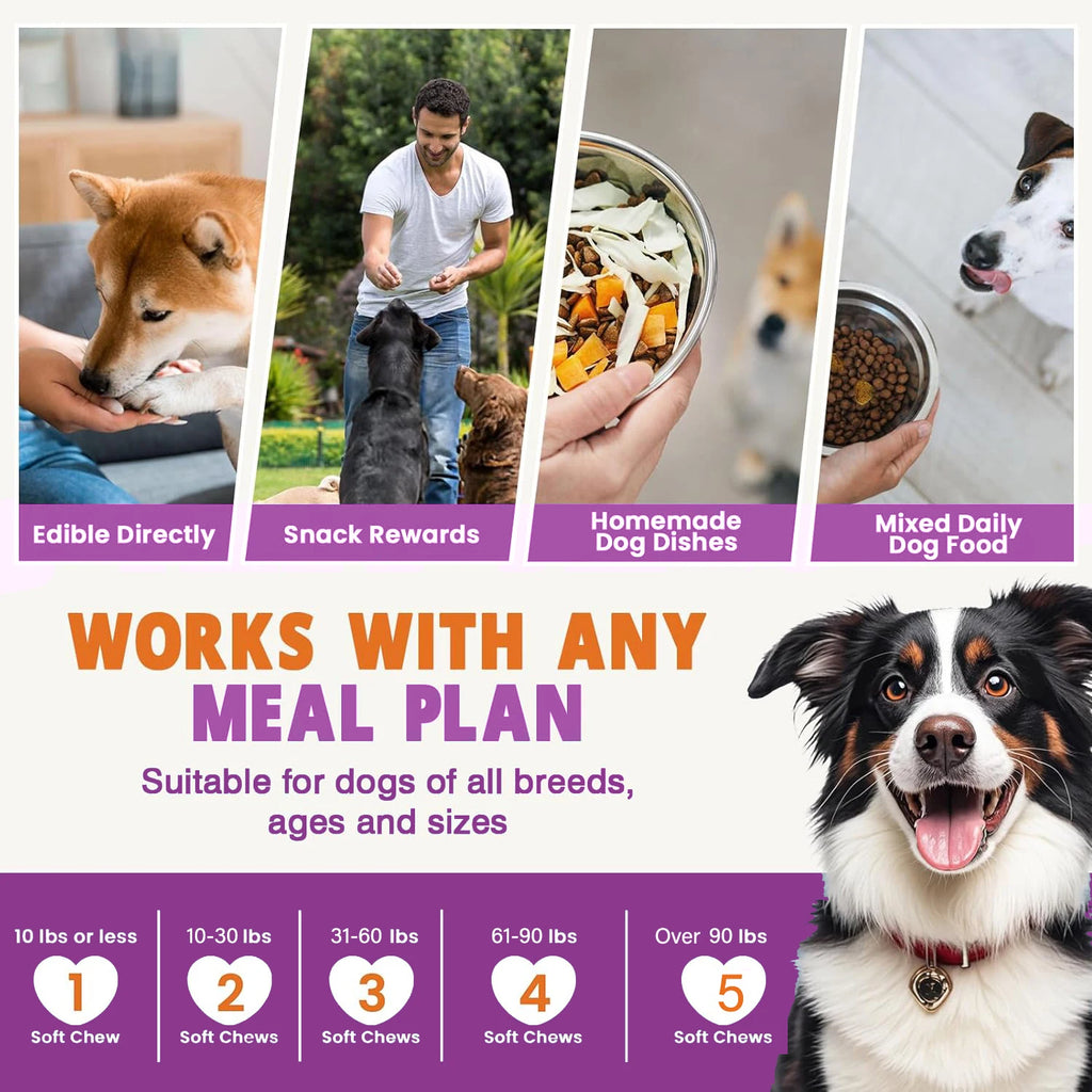 LISM 15-in-1 Multivitamin Soft Chews for Dogs, 120 Count Pet and Home Outlet