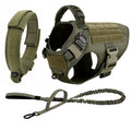 Heavy-Duty No-Pull Tactical Dog