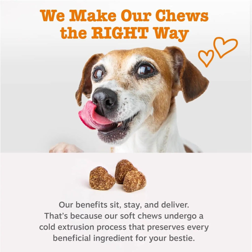 Dog Probiotic & Immune Support Soft Chews, 90 Count Pet and Home Outlet