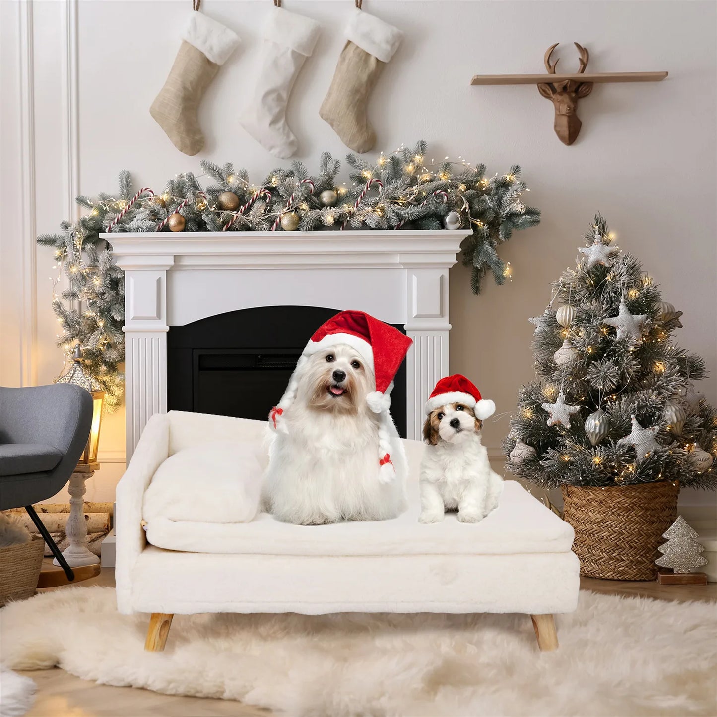 BINGOPAW Waterproof Elevated Pet Sofa Couch And Lounger