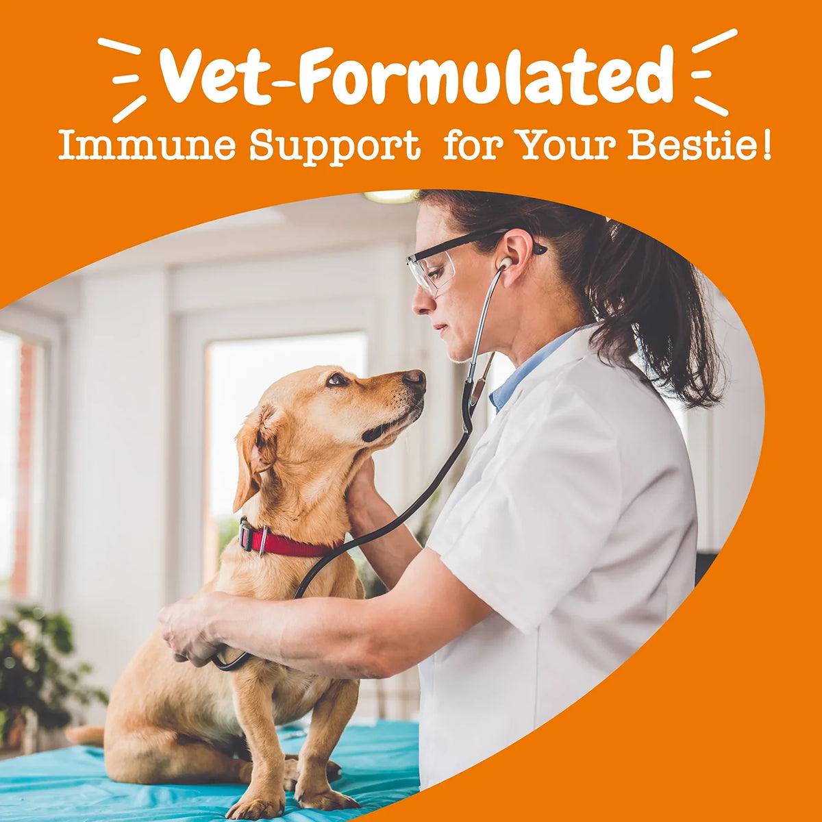 Dog Probiotic & Immune Support Soft Chews, 90 Count Pet and Home Outlet