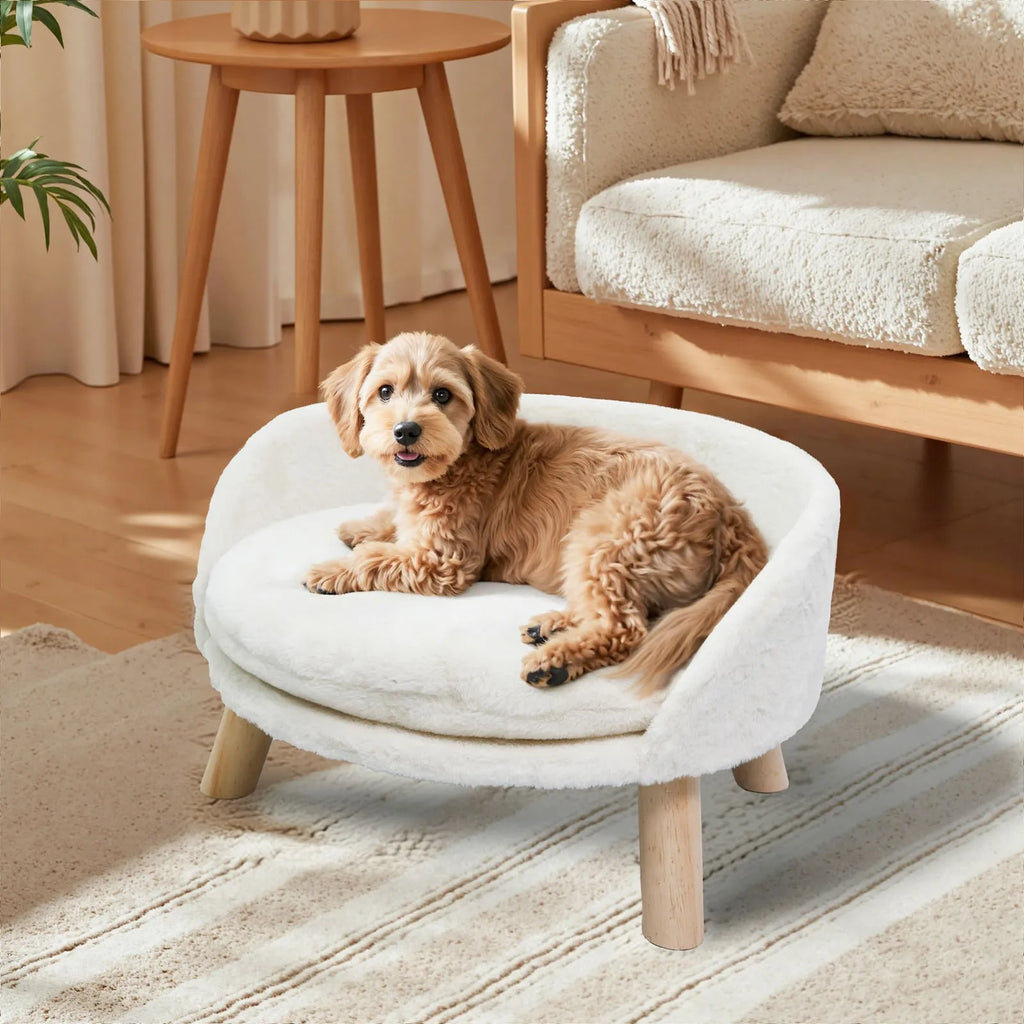 Elevated Pet Sofa Bed with Removable Waterproof Cushion Pet and Home Outlet