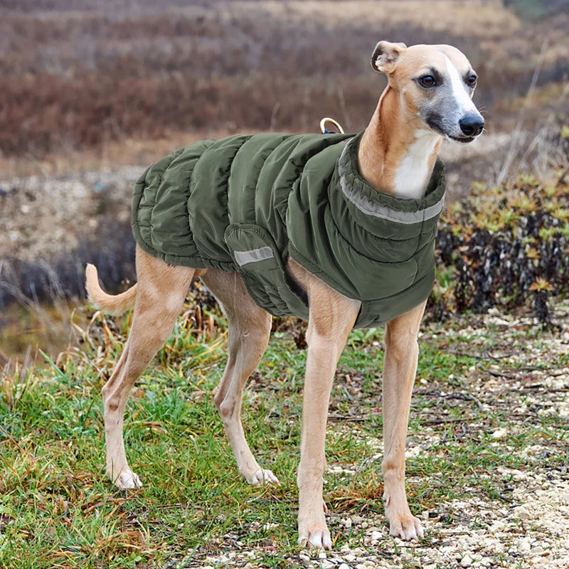 DogLemi Fleece Winter Dog Coat Waterproof Reflective Jacket