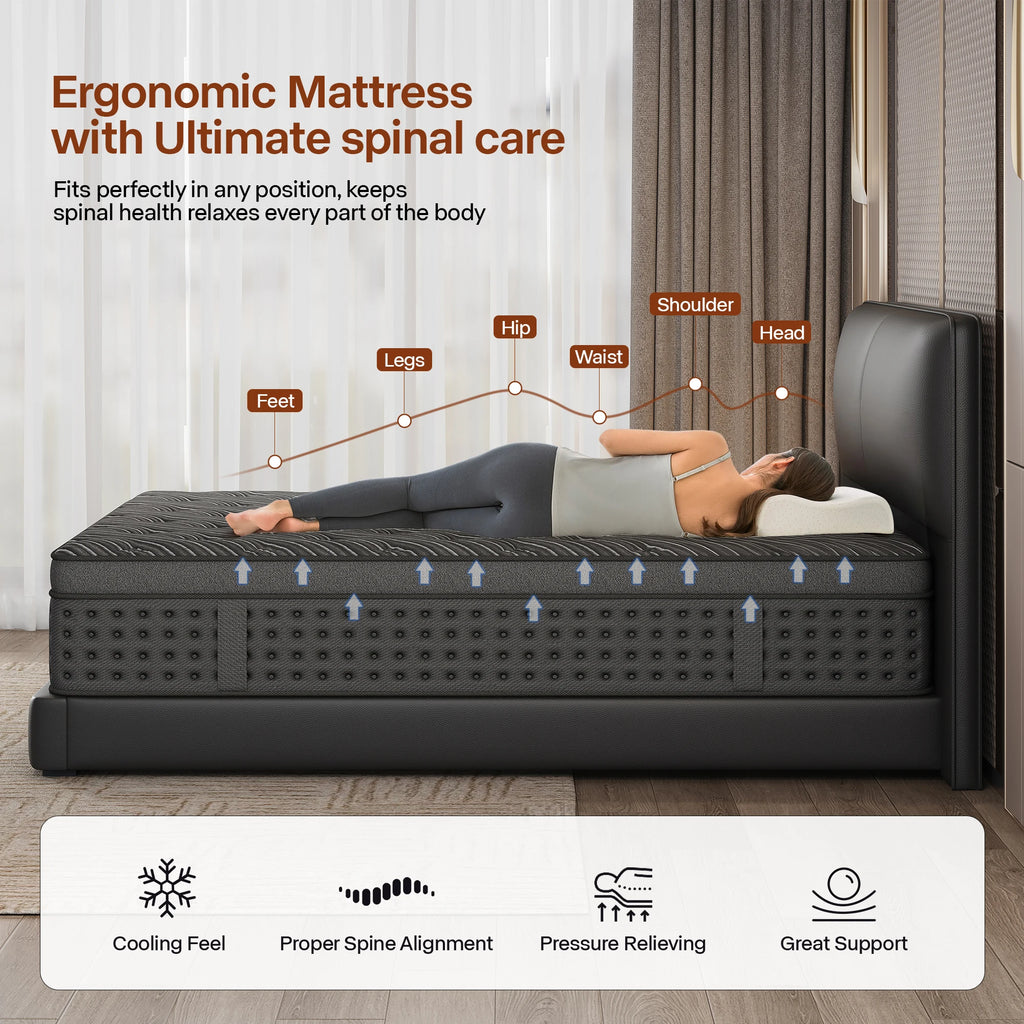 LayRoad Memory Foam Pocket Spring Mattress