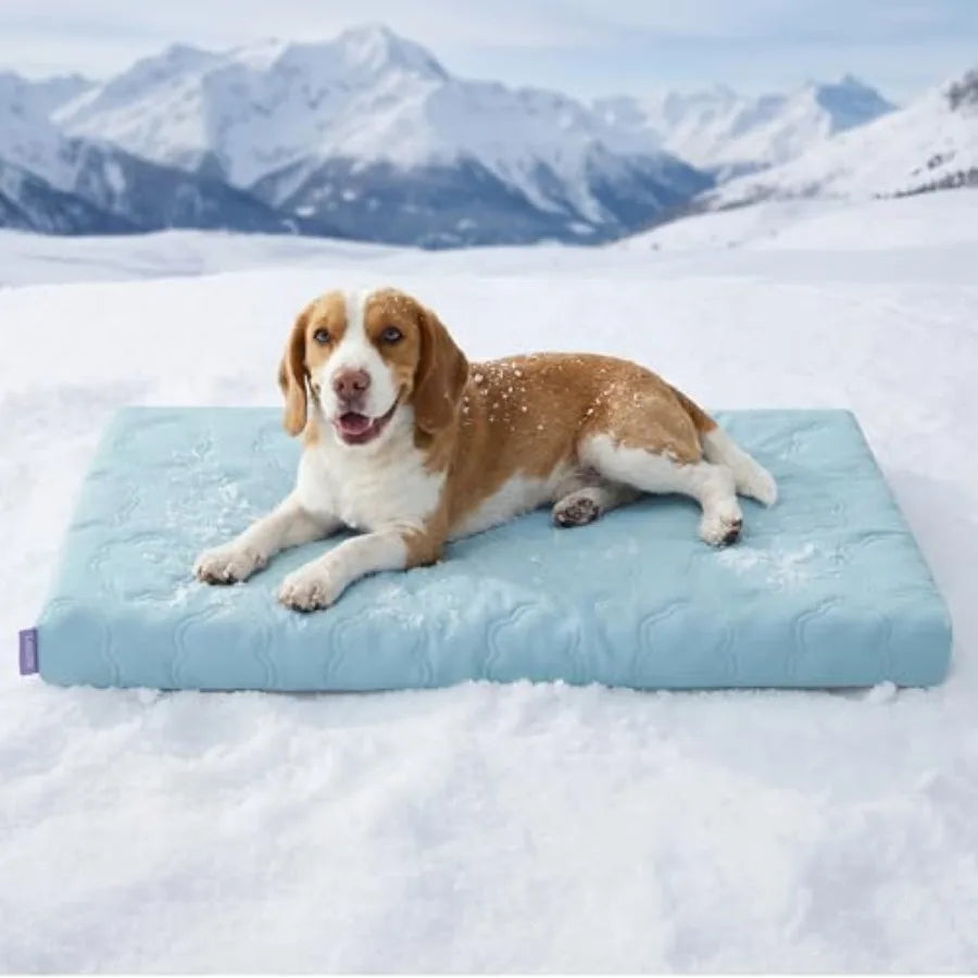 Cooling Orthopedic Dog Bed