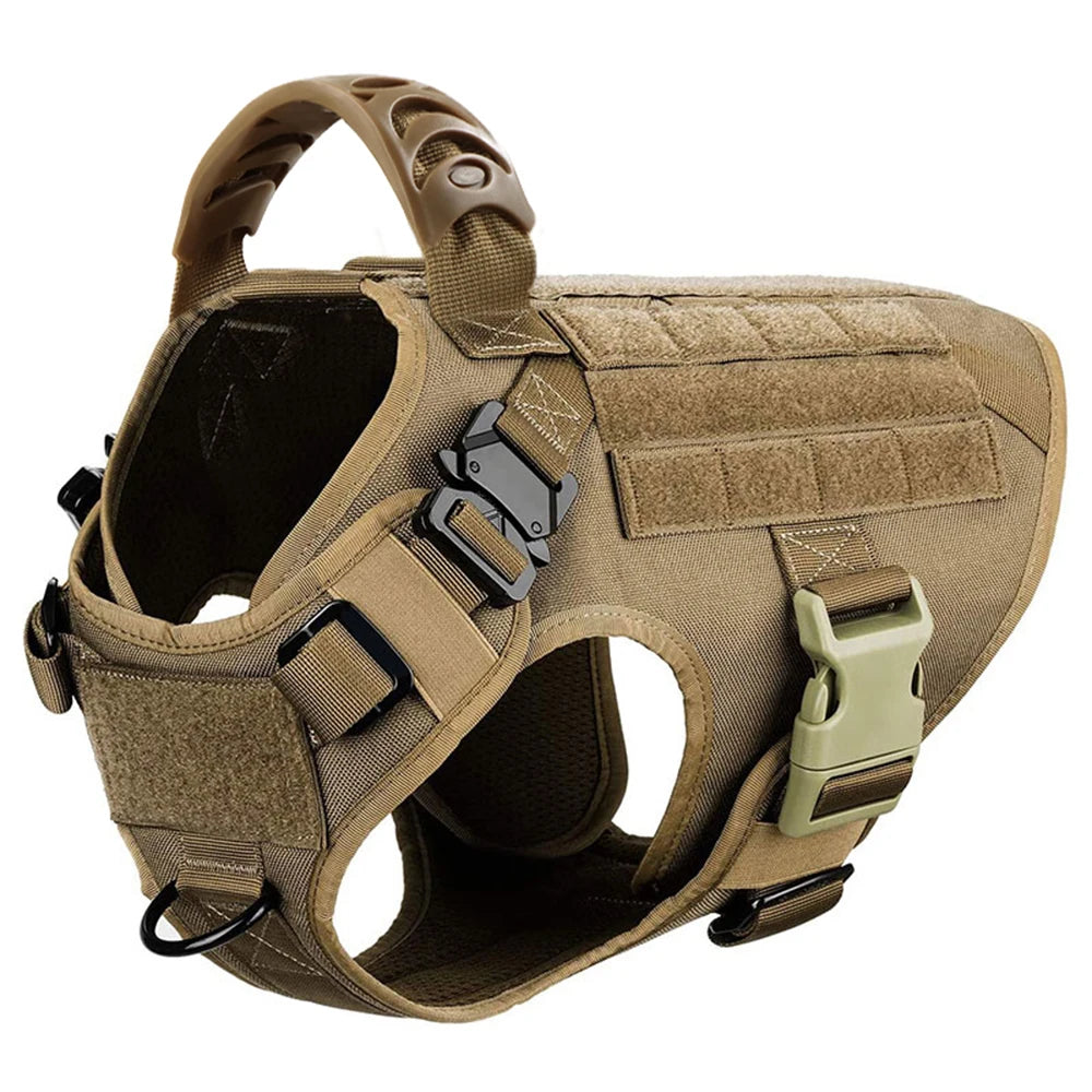 PETRAVEL Dog Harness And Leash Set For Training Walks