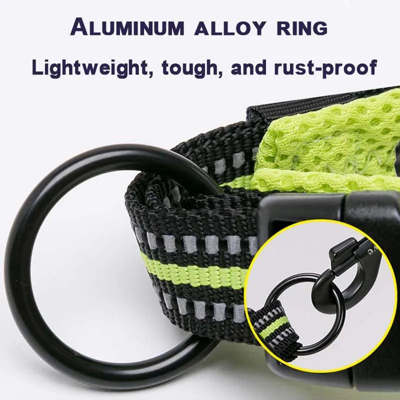 Reflective Padded Nylon Dog Collar