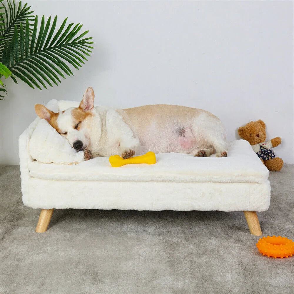 BORWART Luxury Elevated Dog Sofa Bed With Backrest Plush Cushion