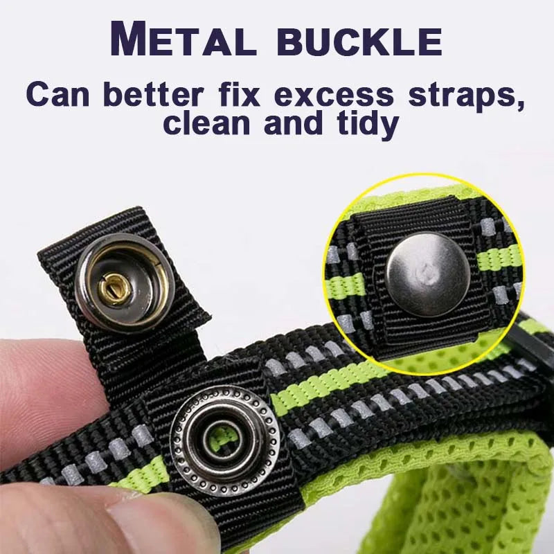 Reflective Padded Nylon Dog Collar