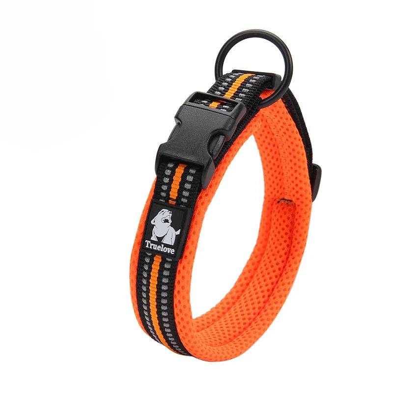 Reflective Padded Nylon Dog Collar