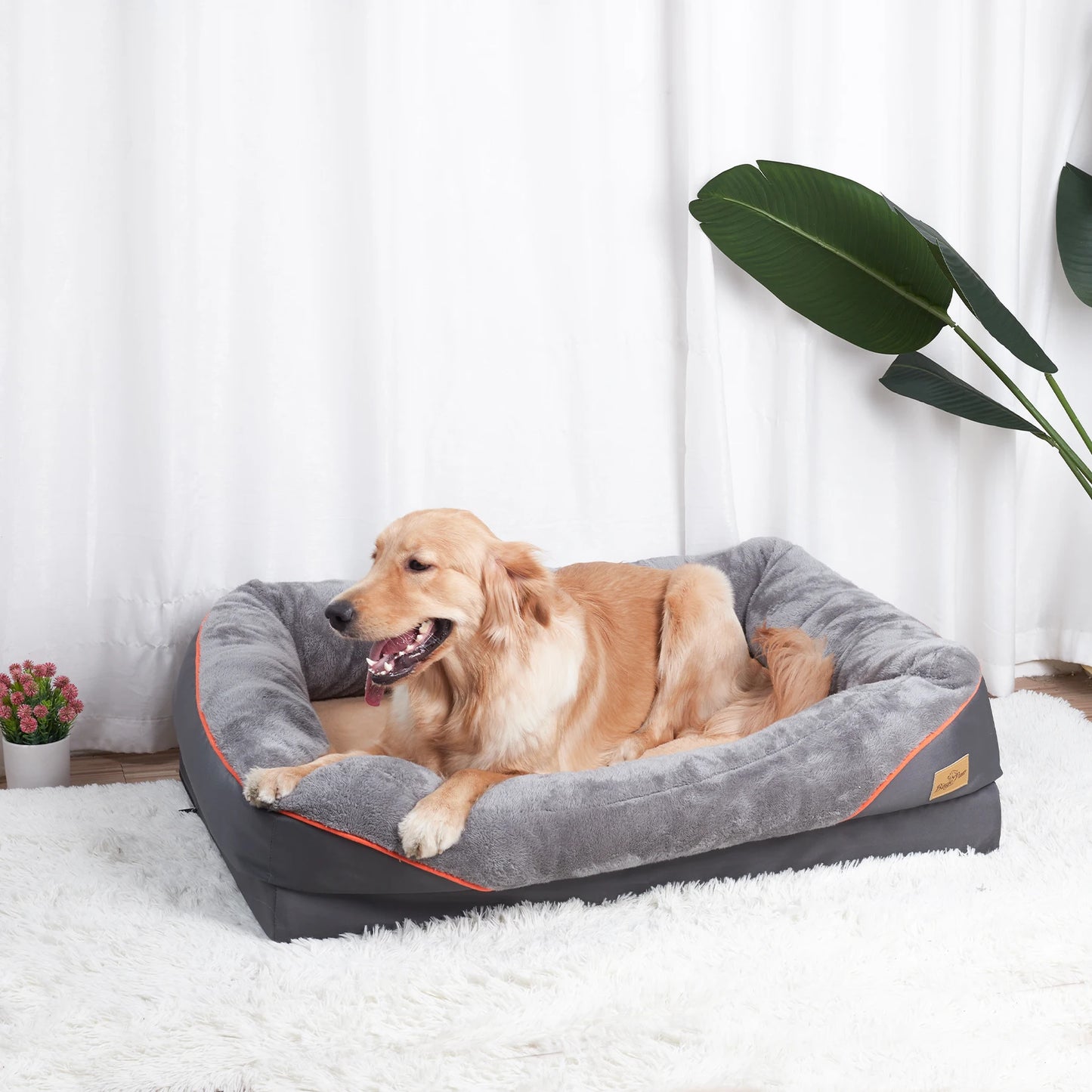 BINGOPAW Large Dog Bed With Removable Washable Cover Anti Allergy