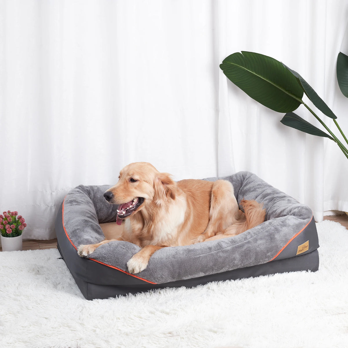 BINGOPAW Large Dog Bed With Removable Washable Cover Anti Allergy Pet and Home Outlet