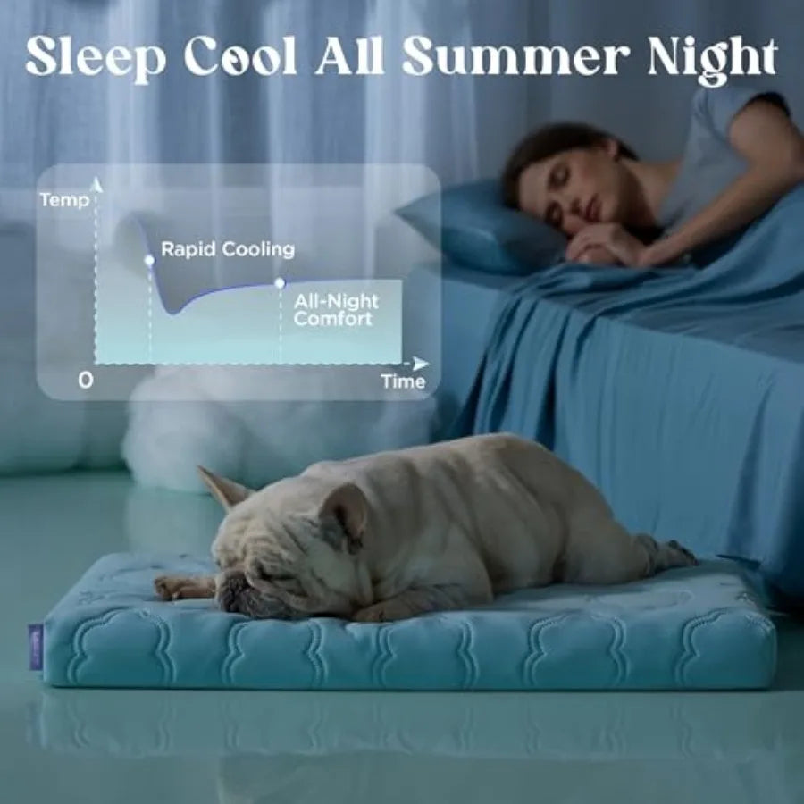Cooling Orthopedic Dog Bed