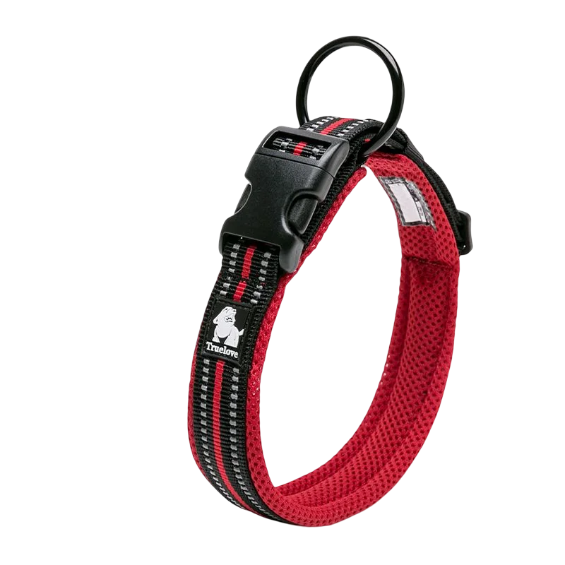 Reflective Padded Nylon Dog Collar