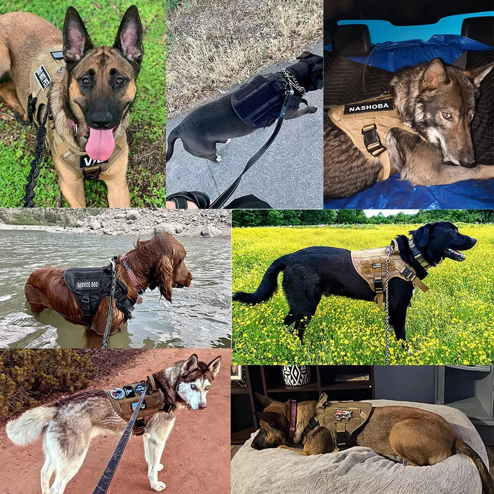 Military Tactical Nylon Dog Harness Vest Collar Leash Training Equipment