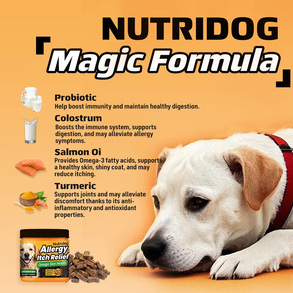 Nutridog Skin, Coat and Probiotic Chews for Dogs, 90 Count Pet and Home Outlet