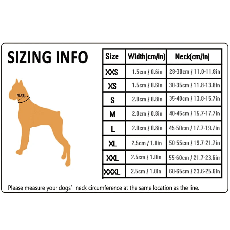 Reflective Padded Nylon Dog Collar